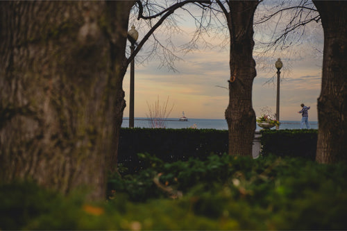 Through the Trees: Lake Michigan at Dusk