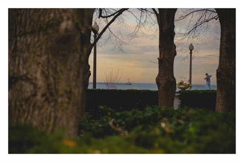Through the Trees: Lake Michigan at Dusk