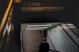Into the Lake