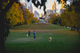 Grant Park