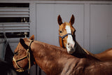 Side by Side — Dust & Glory Series