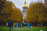 The Quad in October
